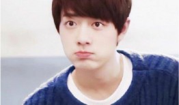 娱乐圈吃瓜爆料 黄景瑜,娱乐圈风云再起，揭秘他的不为人知一面