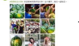 长清大学吃瓜免费播放,吃瓜免费，校园生活新潮流